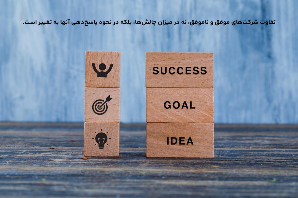 تفاوت شرکت‌های موفق و ناموفق