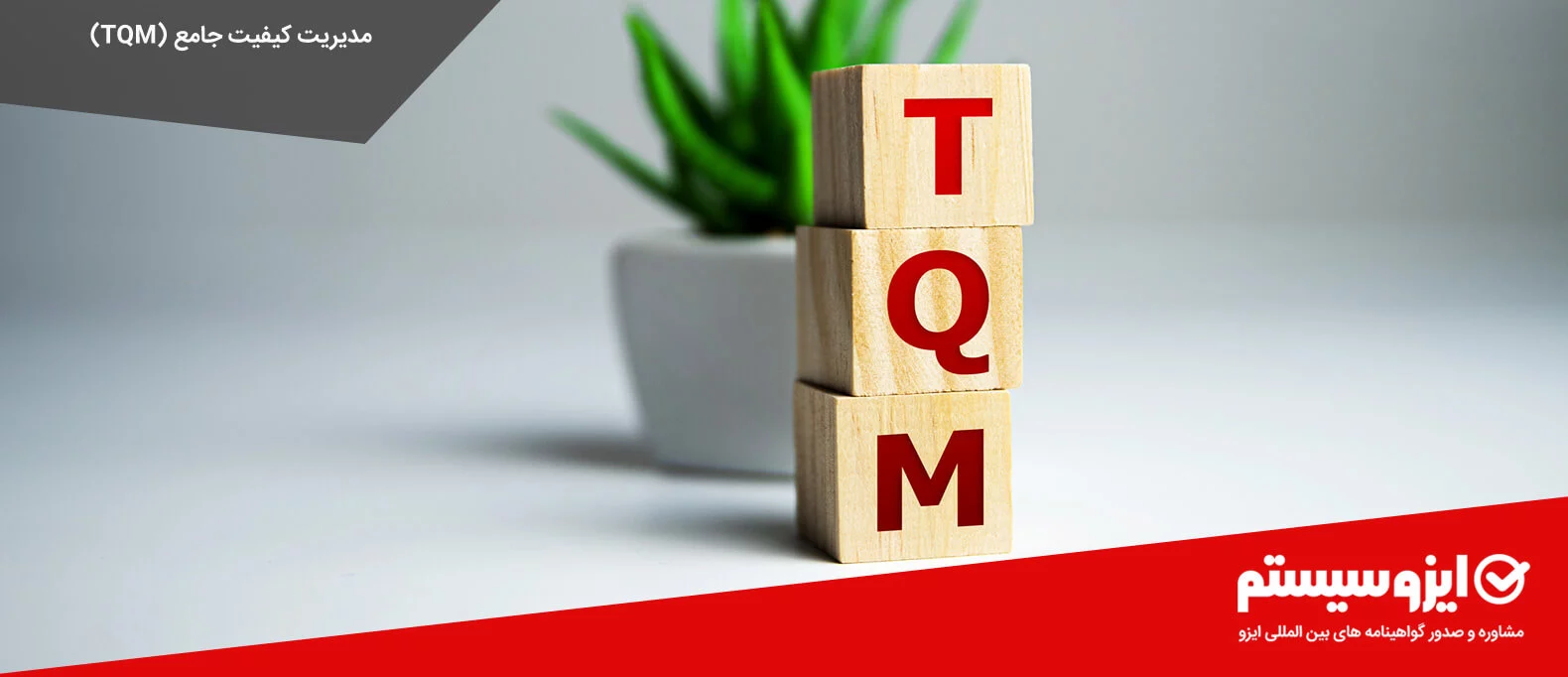 TQM